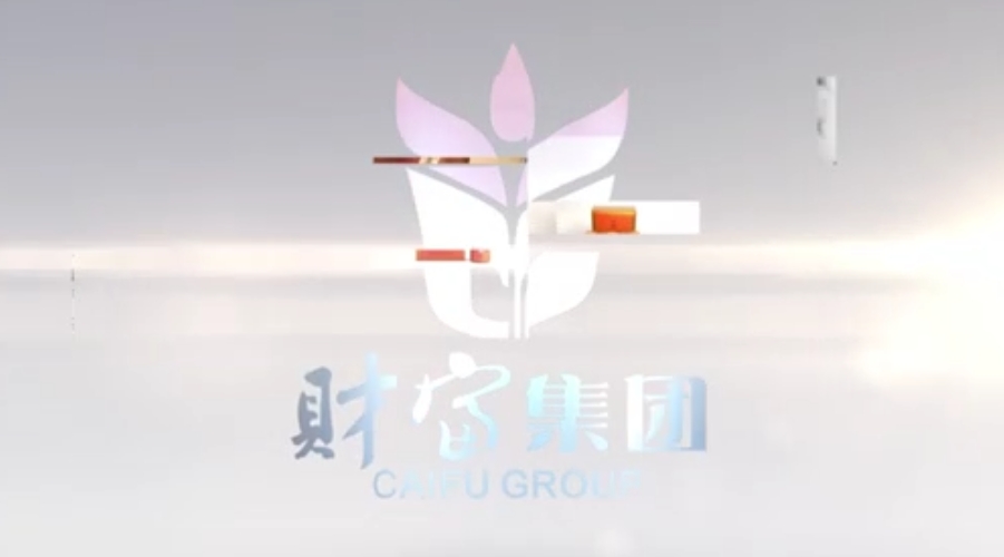 財富集團宣傳片